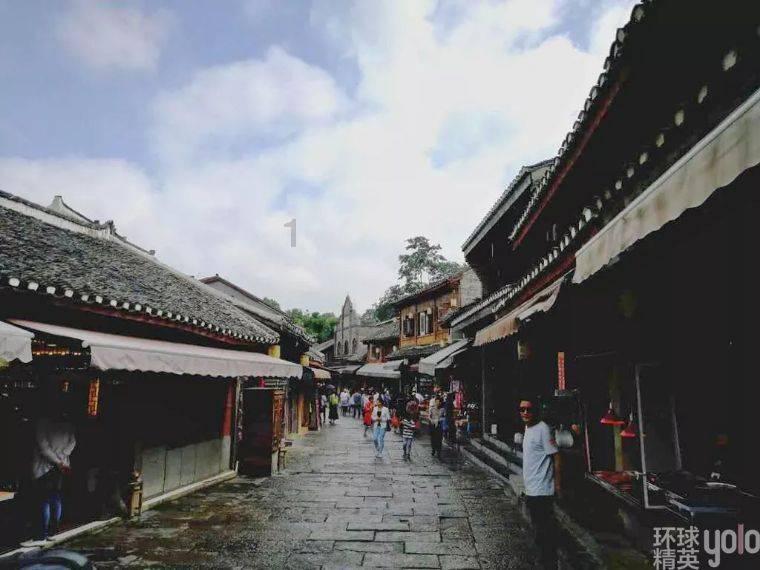 救援小袋熊